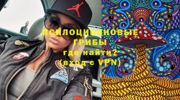 ALPHA-PVP Богородицк