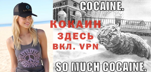 кокаин Богданович