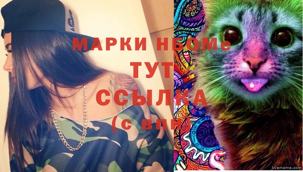 ALPHA-PVP Богородицк