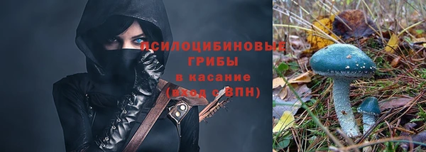 кокаин Богданович