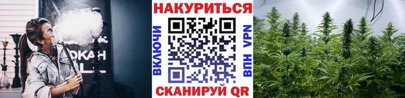Бошки марихуана марихуана  darknet какой сайт  Санкт-Петербург  как найти  